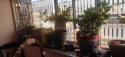 Balcony Image of 810 Sq.ft 2 BHK Apartment / Flat for sale in Shankar Nagar Society Mehsana for Rs. 1700000