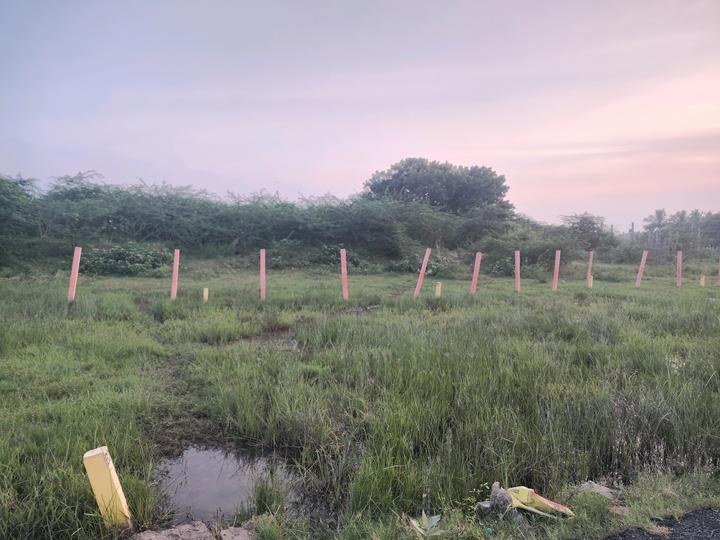 Arun Excello Temple Green Heights Main Image 1