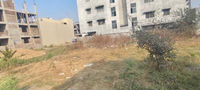 Nihalpur Mundi Plot View 3