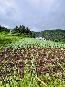 Image of 2400 Sq.ft Residential Plot / Land for sale in Mukteshwar, Nainital for Rs. 15000000
