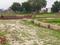 Kisan Path Plot View 2