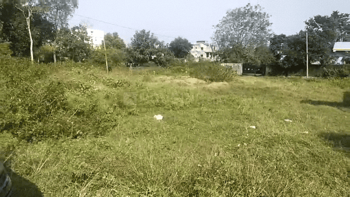 Hatia Main Image 1