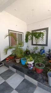 Hall Image of 2000 Sq.ft 3 BHK Independent House for rent in Silicon City Indore for Rs. 25000