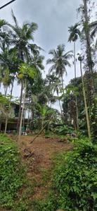 Image of 2352 Sq.ft Residential Plot / Land for sale in Government Medical College Campus, Kozhikode for Rs. 4300000