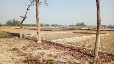 Behta Plot View 2