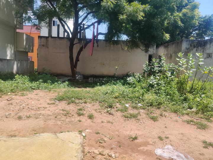 Pedda Gunta, Sivarampalli Main Image 1