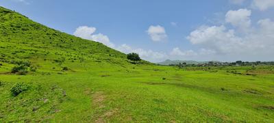 Image of 1549 Sq.ft Residential Plot / Land for sale in Takeghoti, Nashik for Rs. 1239200