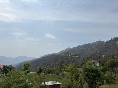 Image of 1350 Sq.ft 2 BHK Apartment / Flat for rent in Kasauli, Solan for Rs. 35000