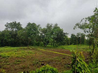 Image of 43560 Sq.ft Residential Plot / Land for sale in Murbad, Thane for Rs. 5400000