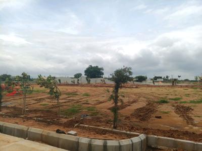 Kothur Plot View 2