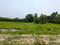 Natures Paradise Main Image 1