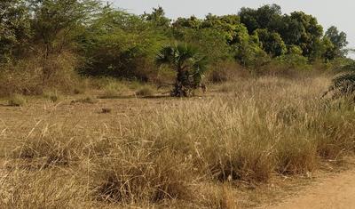 Image of 2540 Sq.ft Residential Plot / Land for sale in Kalavai, Ranipet for Rs. 4500000