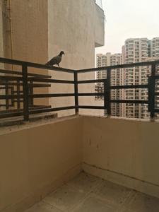 Living Room Image of 1055 Sq.ft 2 BHK Apartment / Flat for sale in Divyansh Flora, Noida Extension Greater Noida for Rs. 8333000