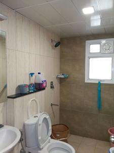 Common Bathroom Image of 1388 Sq.ft 3 BHK Apartment / Flat for rent in Prestige Jindal City, Bagalakunte Bengaluru for Rs. 40000