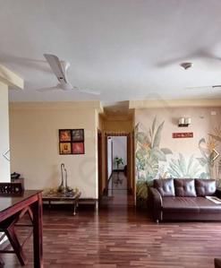 3 BHK Flat