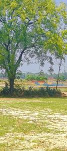 Image of 2000 Sq.ft 2 BHK Farm House for sale in Charbagh, Lucknow for Rs. 750000