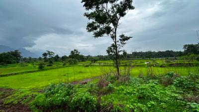 Image of 87120 Sq.ft Residential Plot / Land for sale in Murbad, Thane for Rs. 12000000