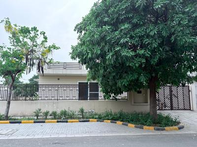 Image of 3000 Sq.ft 2 BHK Builder Floor for rent in DLF Alameda, Sector 74A, Gurgaon for Rs. 65000
