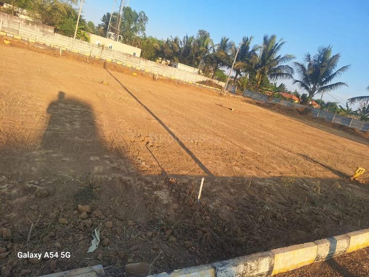 KNS STAR CITY Main Image 1