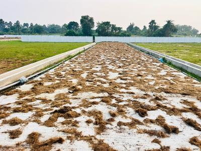 Image of 1350 Sq.ft Residential Plot / Land for sale in Lala Cheruvu, Rajahmundry for Rs. 1299999