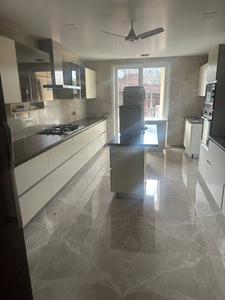 Kitchen Image of 2700 Sq.ft 4 BHK Builder Floor for sale in Green Park New Delhi for Rs. 80000000