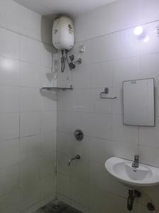 Common Bathroom Image of 774 Sq.ft 1.5 BHK Apartment / Flat for rent in Lodha Casa Rio, Palava Phase 1 Thane for Rs. 14000