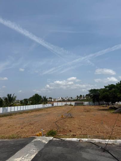 Karamadai Main Image 1