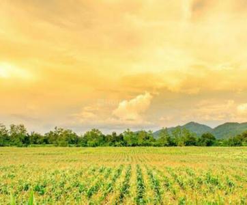 Image of 80000 Sq.ft Residential Plot / Land for sale in Digargavhan, Amravati for Rs. 7500000