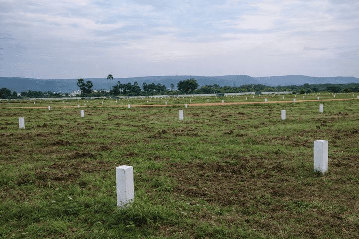 Vikasnagar Main Image 1