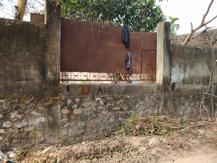 Tetelia Main Image 1