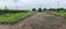 New Path The Vatika Residency Plot View 2