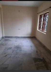 Hall Image of 1000 Sq.ft 2 BHK Apartment / Flat for rent in Lalpur Ranchi for Rs. 11500