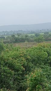 Image of 44515 Sq.ft Residential Plot / Land for sale in Bangrasia, Bhopal for Rs. 38500000