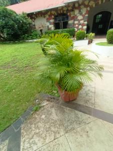 Image of 1000 Sq.ft 2 BHK Apartment / Flat for sale in Green Acres Housing Society, Kondhwa, Pune for Rs. 8000000