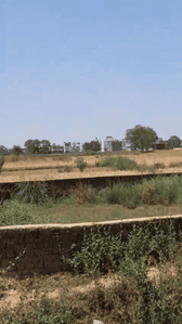 Image of 1360 Sq.ft Residential Plot / Land for sale in Bodh Gaya, Gaya for Rs. 3250000
