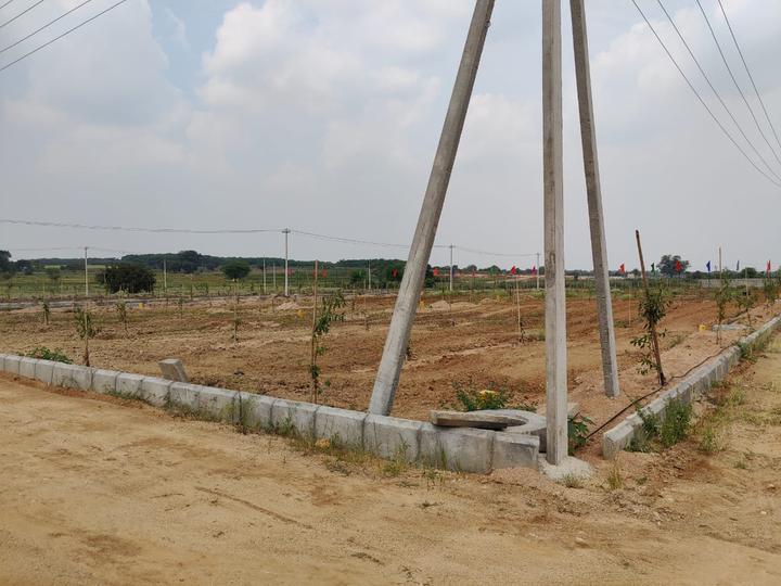 Sri Abhisha Sri Dhatri Main Image 1