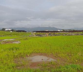 Image of 1549 Sq.ft Residential Plot / Land for sale in Takeghoti, Nashik for Rs. 1239200