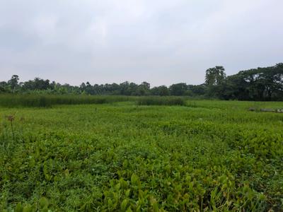 Sonargaon 2 Plot View 1