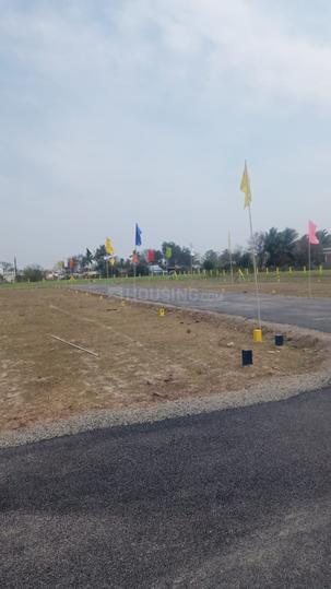 Sevvapet Main Image 1