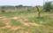 Manduwadih Main Image 1