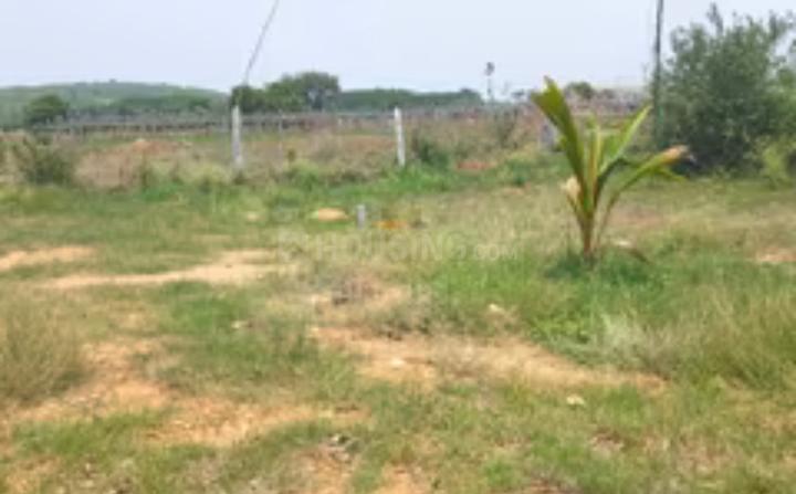 Manduwadih Main Image 1