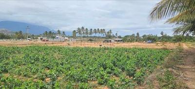 Residential Plot