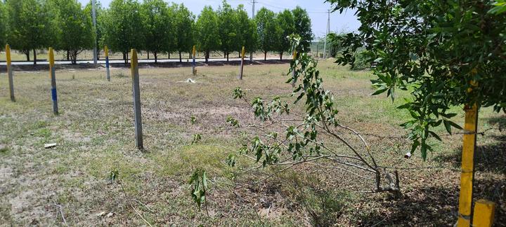 Shadnaagar Main Image 1