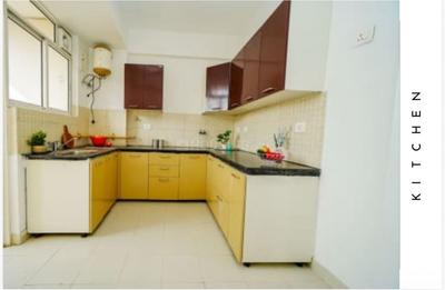 Kitchen Image of 1400 Sq.ft 2.5 BHK Apartment / Flat for sale in Godrej 101, Sector 79 Gurgaon for Rs. 18200000