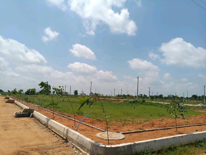 MS Developers Main Image 1