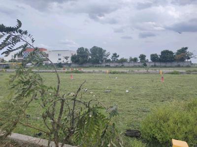 Residential Plot