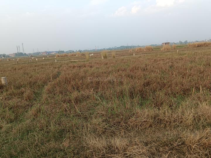 Beldari Chak Main Image 1