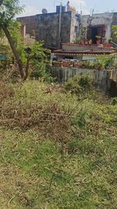 Subhash colony mango Plot View 3