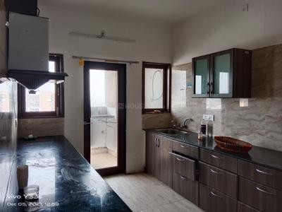 Kitchen Image of 1600 Sq.ft 3 BHK Apartment / Flat for sale in Evergreen Anantara Block 5 Building A B C, Tilhari Jabalpur for Rs. 10500000