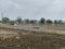 Wanadongri Plot View 2